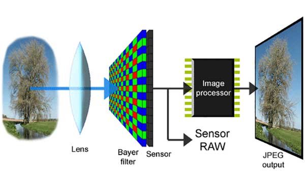 digital-camera-sensor